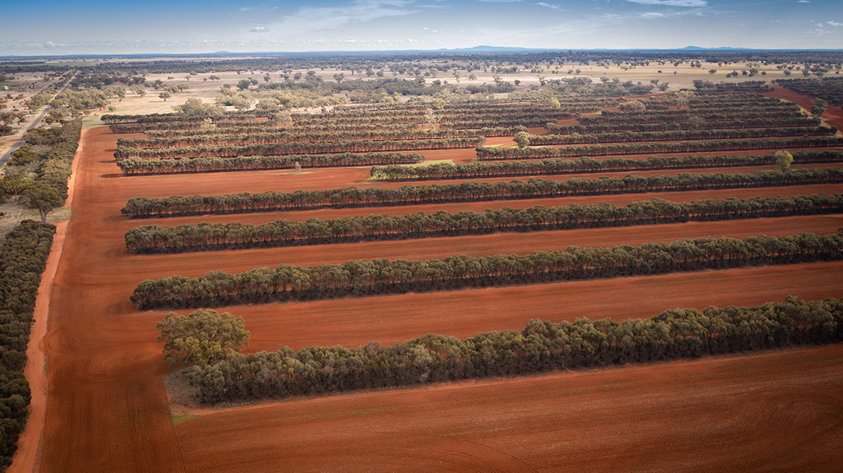 Aerial photo of Aboriginal owned carbon farm