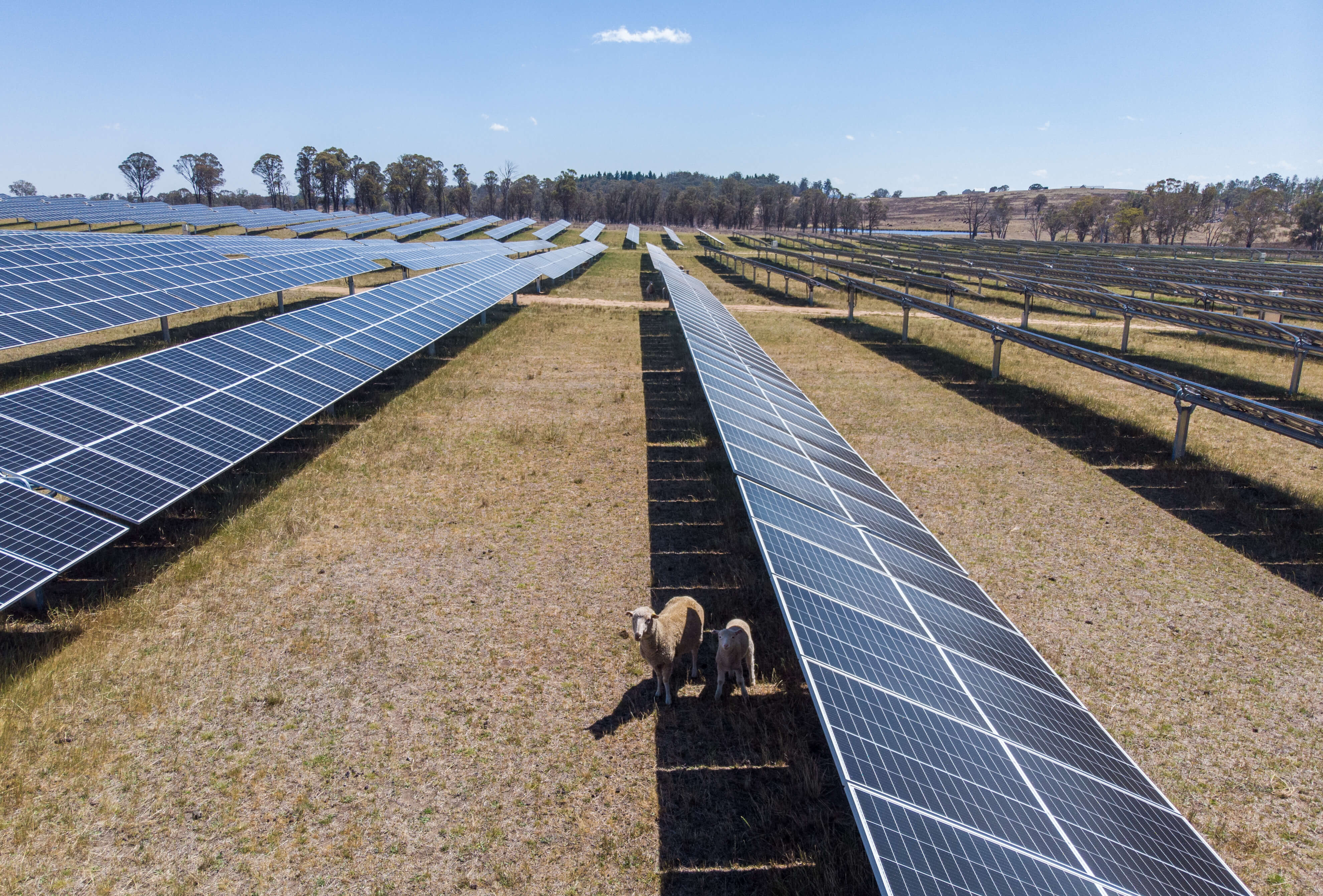 Solar grazing in the New England Renewable Energy Zone