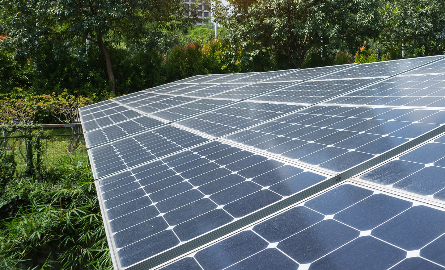 solar panels with garden in background