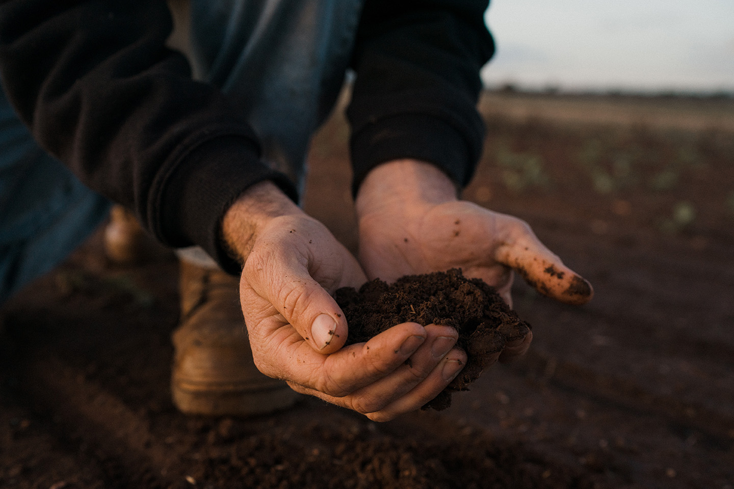 Close up of hands holding soil