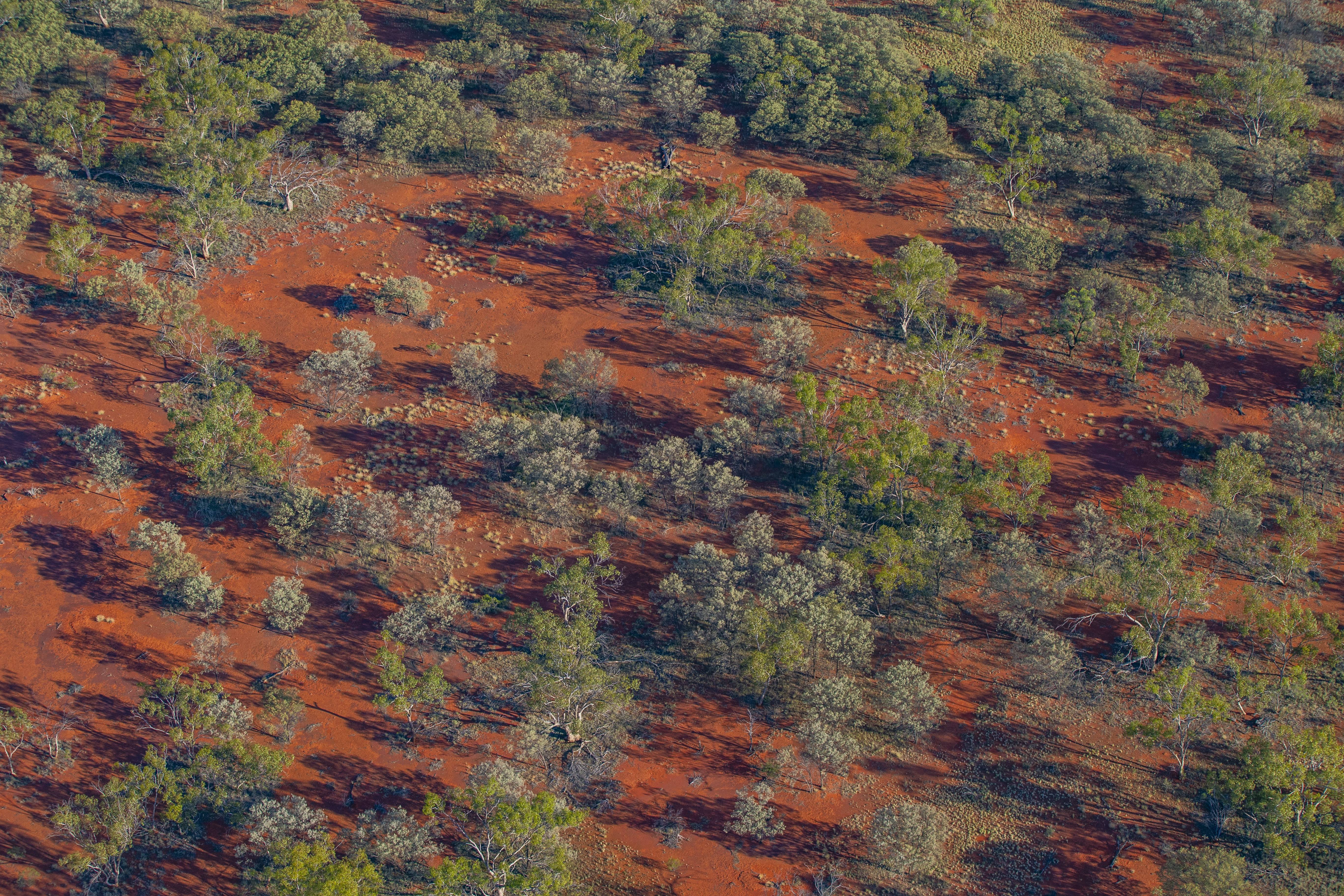 Koonaburra National Park (Department of Climate Change, Energy, the Environment and Water) 