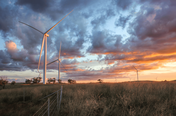 Wind farm at sunset