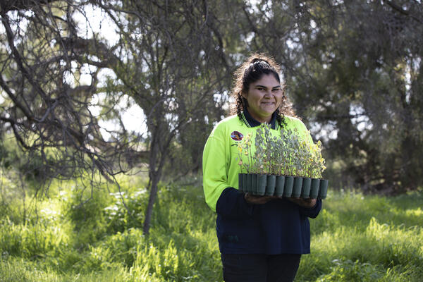 A Yurkuwa ranger holding tree saplings