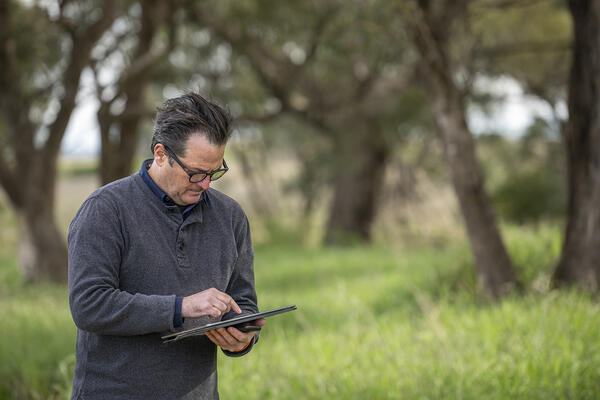 Person using tablet in paddock with trees in background