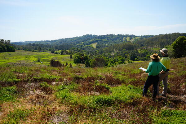 Two people staring out into a forest